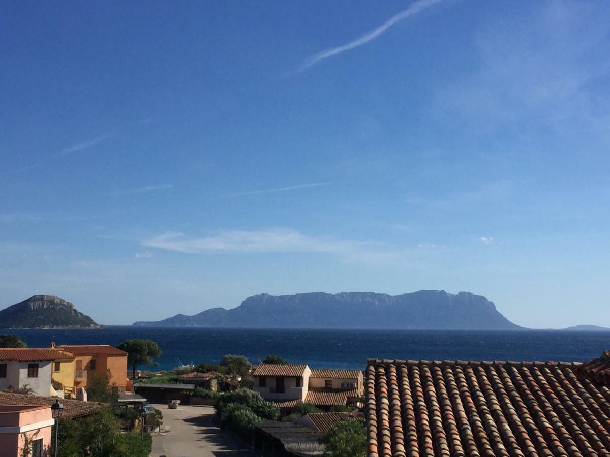 Blue Portrait House Apartment Golfo Aranci Exterior photo
