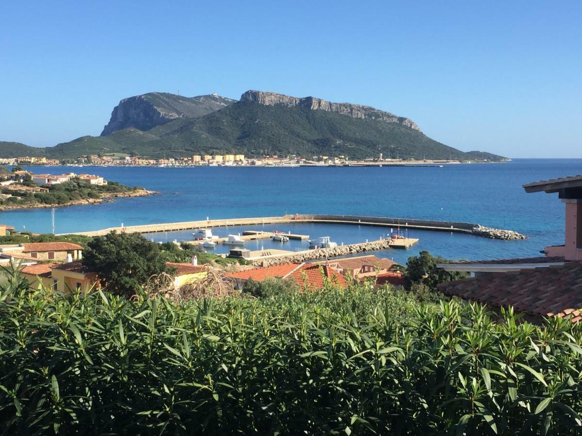 Blue Portrait House Apartment Golfo Aranci Exterior photo